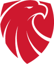 斯基夫
